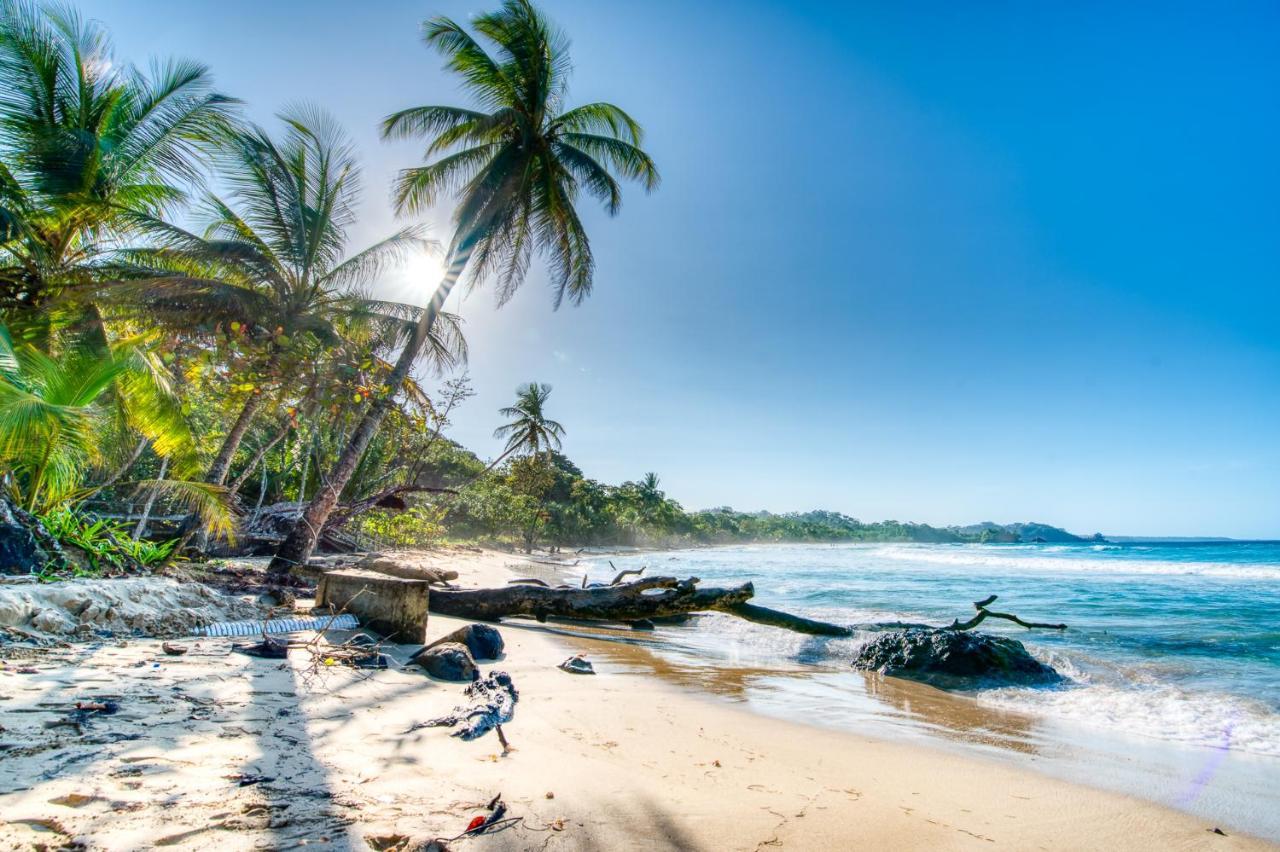 Hotel Bocas Del Toro Exteriör bild